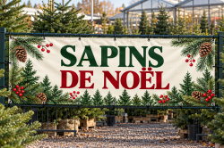 C283 - Banderole Sapins de Noël — branches et baies