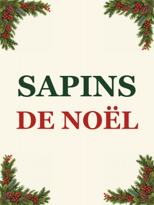 Affiche Sapins de Noël — branches et baies