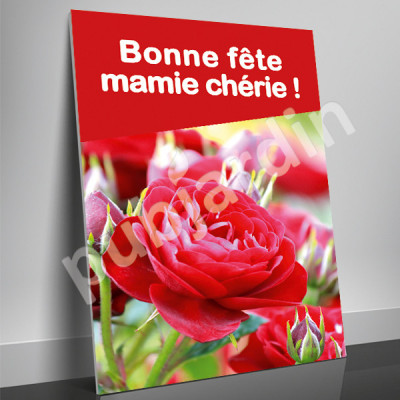 A94- Affiche bonne Fête Mamie Chérie