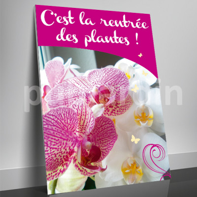 A10- Affiche Orchidée rose