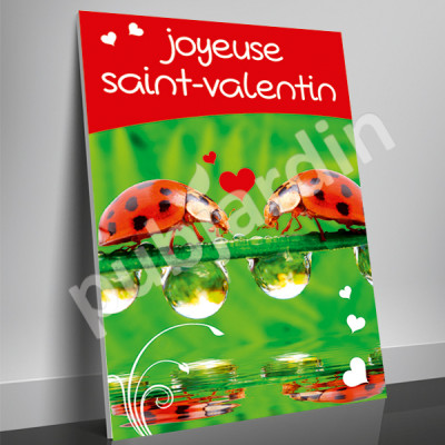 A20- Affiche Saint Valentin coccinelle