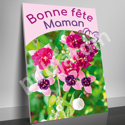 A31- Affiche Bonne Fête Maman - Ancolie