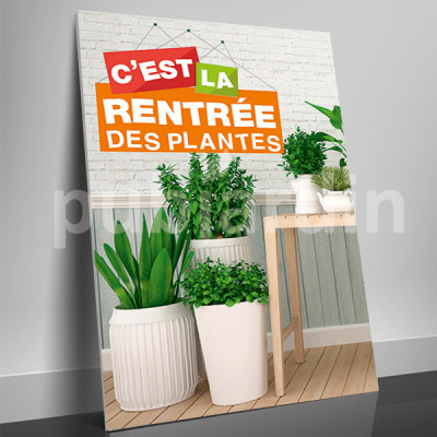 A4- Affiche rentrée des plantes