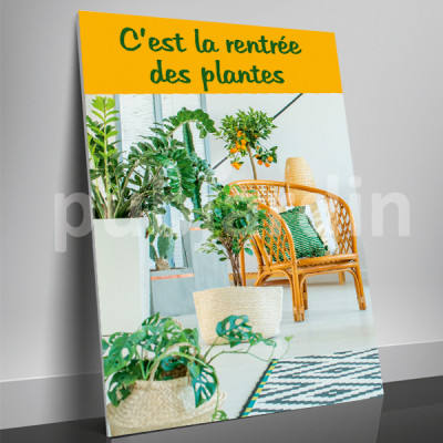 A5- Affiche rentrée des plantes vertes