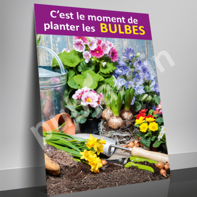 A52- Affiche planter les bulbes