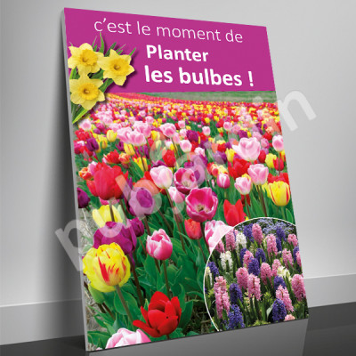 A54-Description du produit Affiche “Planter les Bulbes – Tulipes” — un support visuel prêt à l’emploi pour promouvoir la plantation de bulbes de tulipes dans votre magasin, espace jardinage ou pépinière. Caractéristiques principales Formats disponibles :