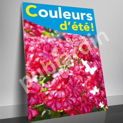 A58- Affiche couleurs d'été - Géranium