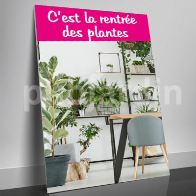 A6- Affiche rentrée des plantes bureau