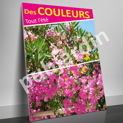 A71- Affiche été-laurier rose-bougainvillier