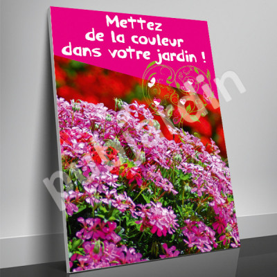 A74- Affiche Géranium couleur jardin