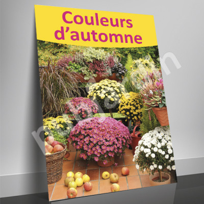 A79- Affiche couleurs d'automne - chrysanthèmes