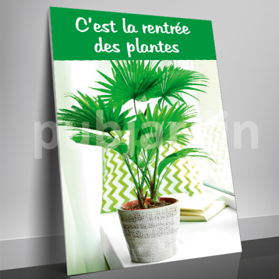 A8- Affiche rentrée des plantes déco