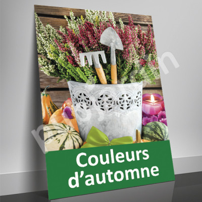 A81- Affiche couleurs d'automne - bruyères