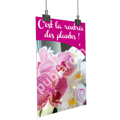 A10- Affiche Orchidée rose