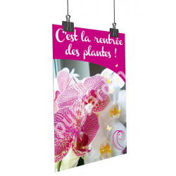 A10- Affiche Orchidée rose