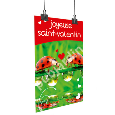 A20- Affiche Saint Valentin coccinelle