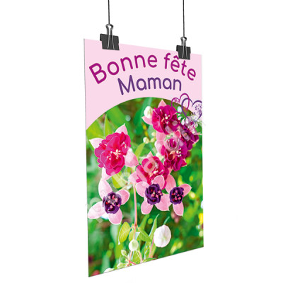 A31- Affiche Bonne Fête Maman - Ancolie