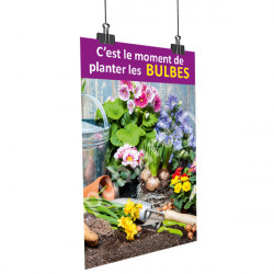 A52- Affiche planter les bulbes