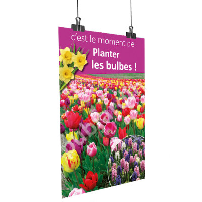A54-Description du produit Affiche “Planter les Bulbes – Tulipes” — un support visuel prêt à l’emploi pour promouvoir la plantation de bulbes de tulipes dans votre magasin, espace jardinage ou pépinière. Caractéristiques principales Formats disponibles :