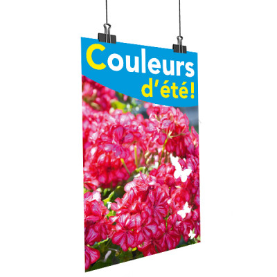 A58- Affiche couleurs d'été - Géranium