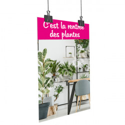 A6- Affiche rentrée des plantes bureau