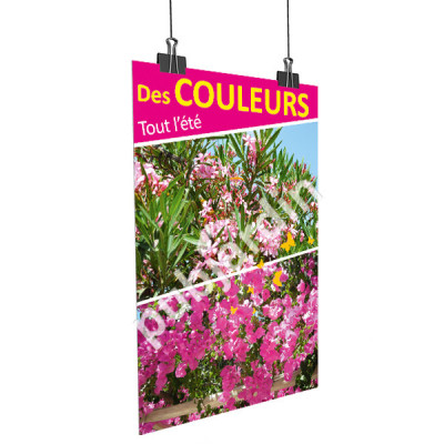 A71- Affiche été-laurier rose-bougainvillier