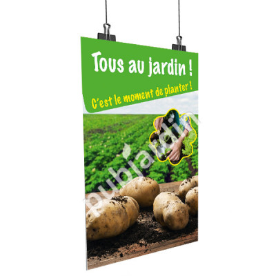 A72- Affiche pommes de terre