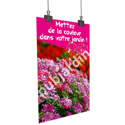 A74- Affiche Géranium couleur jardin