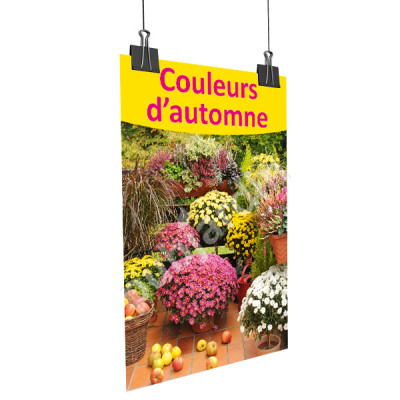 A79- Affiche couleurs d'automne - chrysanthèmes