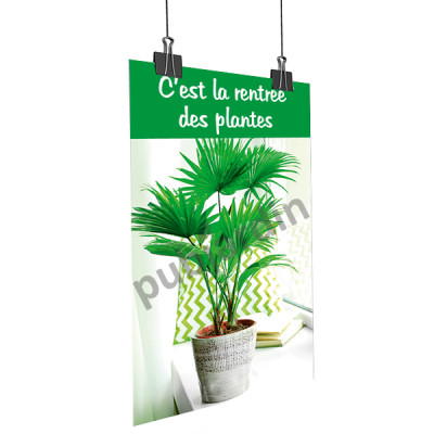 A8- Affiche rentrée des plantes déco