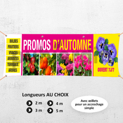 C48-Calicot Promos-automne