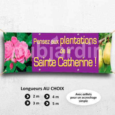 C13-Banderole Plantations Sainte Catherine