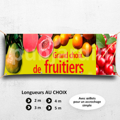 C10-Banderole Grand choix de fruitier