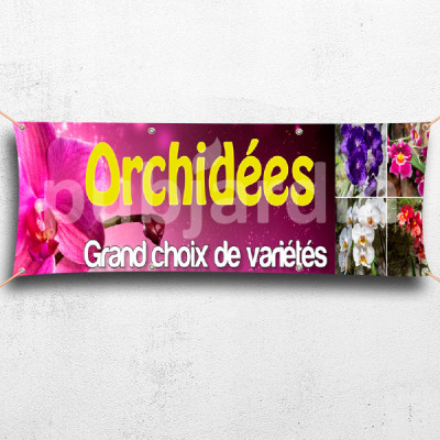 C22-Banderole Orchidées