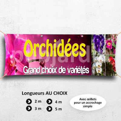 C22-Banderole Orchidées