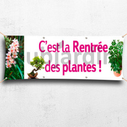 C15-Banderole plantes d'intérieur