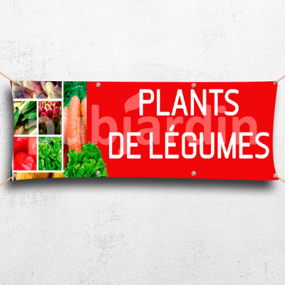 C07-Banderole Plants de Légumes