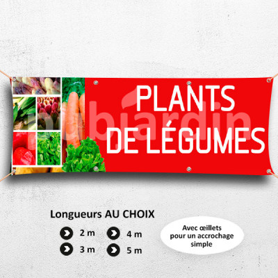 C07-Banderole Plants de Légumes