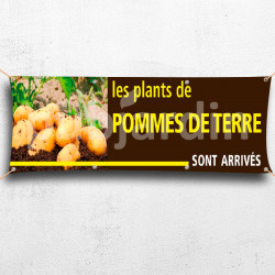 C26-Banderole Plants de Pommes de terre