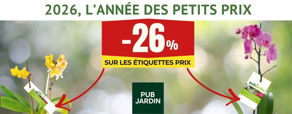 carroussel pub JARDIN baisse des prix - 1