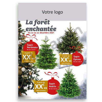 F6 - Flyer La forêt enchantée