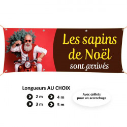 C90 - Les sapins de Noël sont arrivés