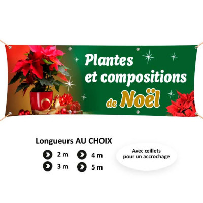 C98 - Plantes et compositions de Noël