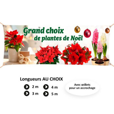 C96 - Grand choix de plantes et compositions