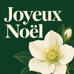 R30 - Étiquettes en rouleau Joyeux Noël — Hellébore