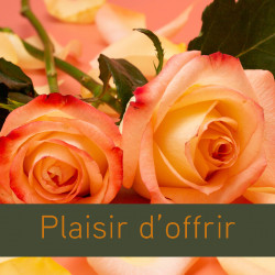 R13-Etiquette Plaisir d'Offrir Roses Orange