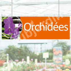 P10 - Panneau Orchidées en Dibond® ou PVC