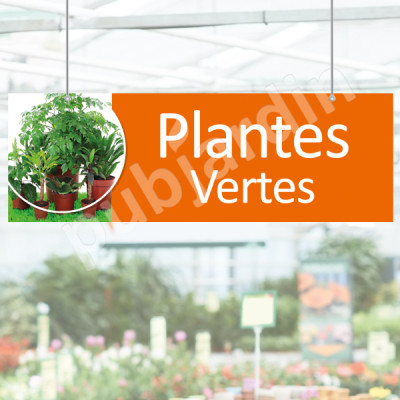 P11- Panneau plantes vertes