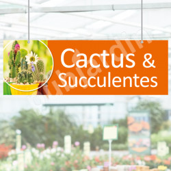 P12- Panneau signalétique Cactus