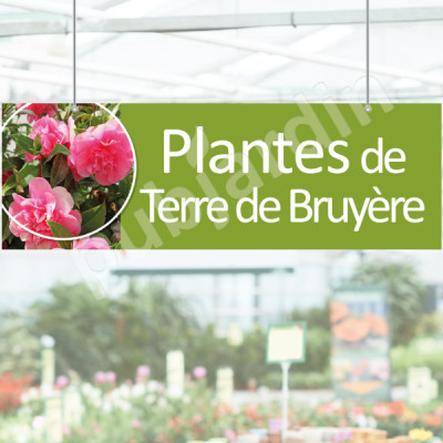 P23- Panneau Plantes de terre de Bruyère